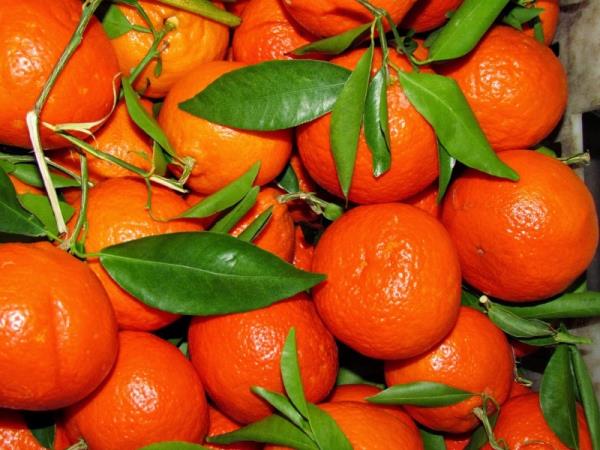 Kaj se zgodi, če pojeste več kot 5 mandarin na dan?